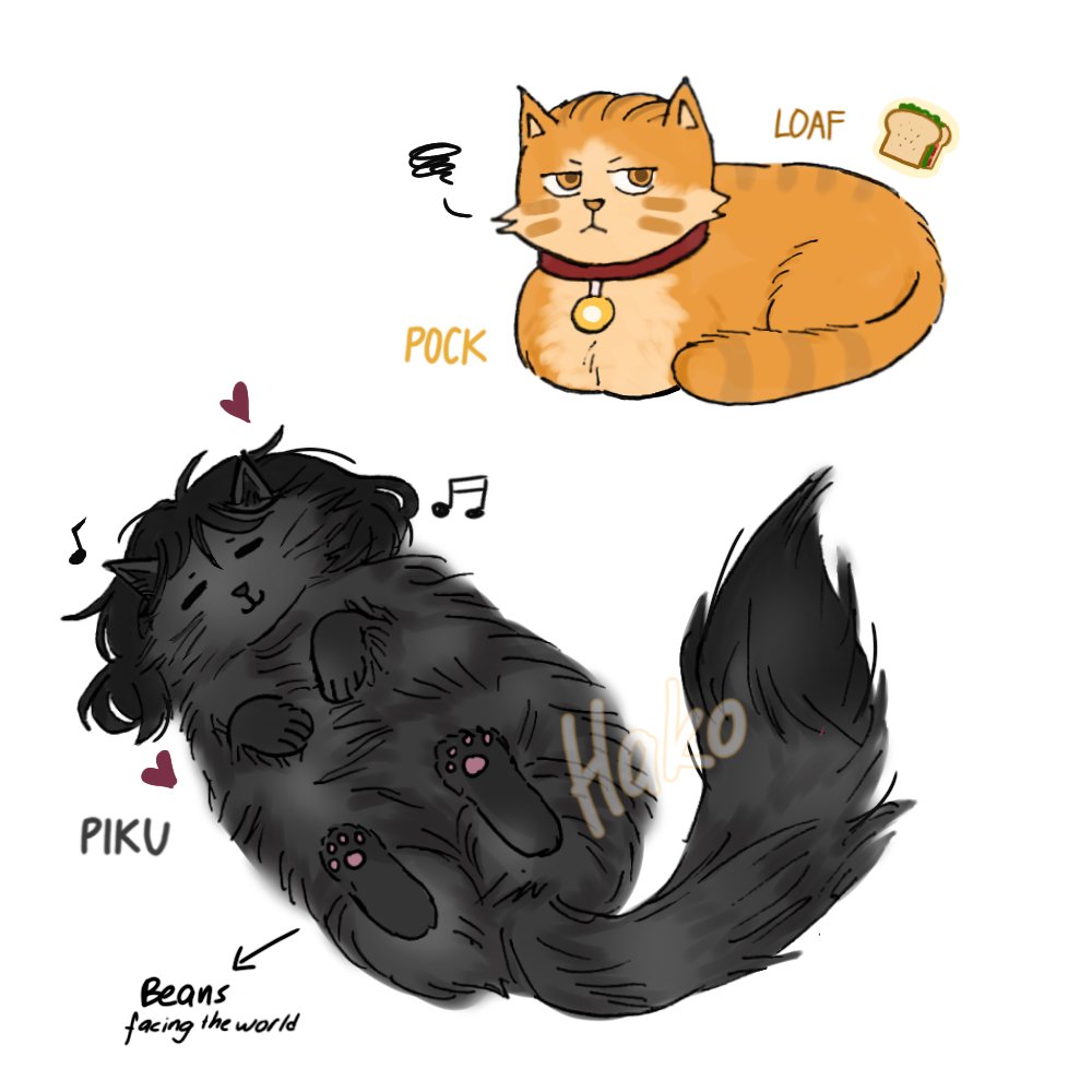 hakoshrimp's tweet photo. Day 2: kitty cat🐈‍⬛🐈

#PokkoPikuWeek2024 #ポコピク https://t.co/UGFWd6N82k