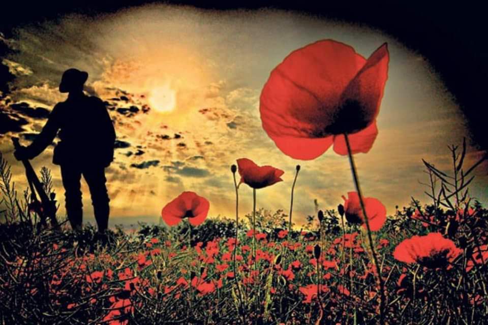 StJohnsCM11's tweet photo. On Monday 11th November at 11am we are holding a short service and a time of silence to remember the fallen, please join us if you are able.  We will be gathering from 10:45am around the Reflective Space. https://t.co/FTDfzxRhOp