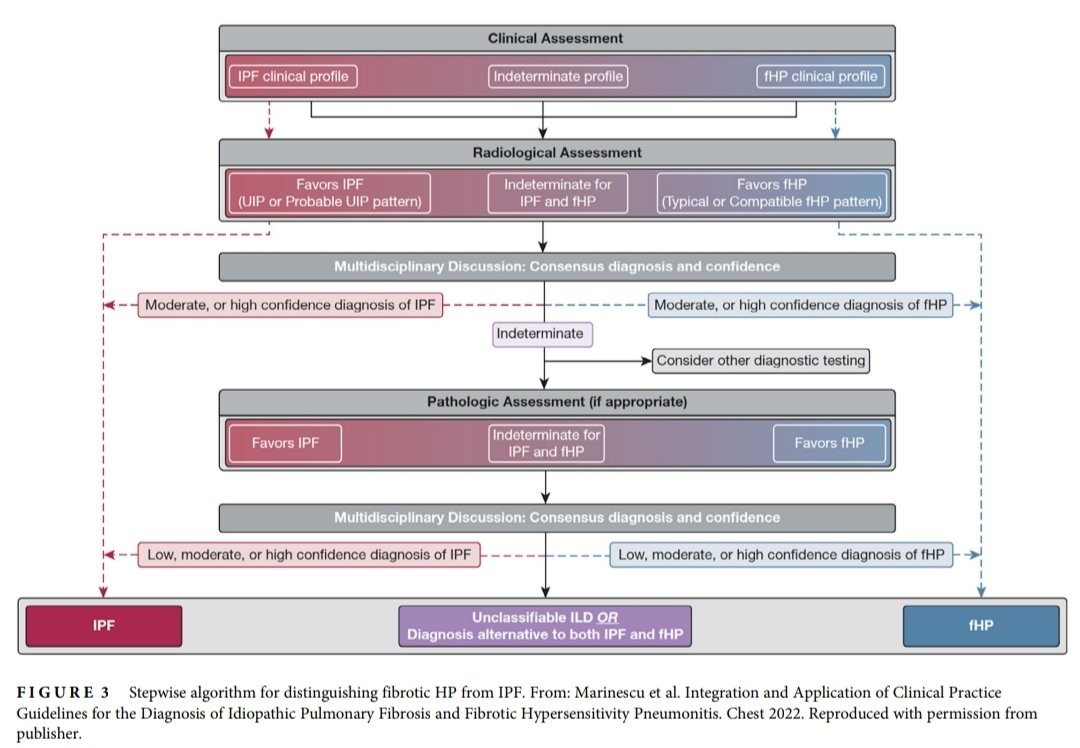KessnerJp's tweet photo. Neumonitis por Hipersensibilidad: Sociedad Torácica de Australia y Nueva Zelanda.🇦🇺🇳🇿
https://t.co/aPkNqPPA4j
@SeparRespira @ALATorax @Neumosur @NeumoNat @CrisGRebollo @MarisolArLa @HUReinaSofia @neumoparatodos @SPLF_SocPneumo @pneumosbpt @tsanz_thoracic https://t.co/3uGPBdokBJ