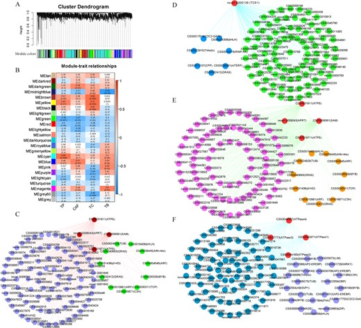 Hortres's tweet photo. Tea plant study reveals CsbHLH1 &amp; miR1446a regulate caffeine biosynthesis, offering insights for breeding. #TeaBreeding #CaffeineRegulation @OxfordJournals 
Details:https://t.co/FPMTkih1HP https://t.co/OfDxx08Jvn
