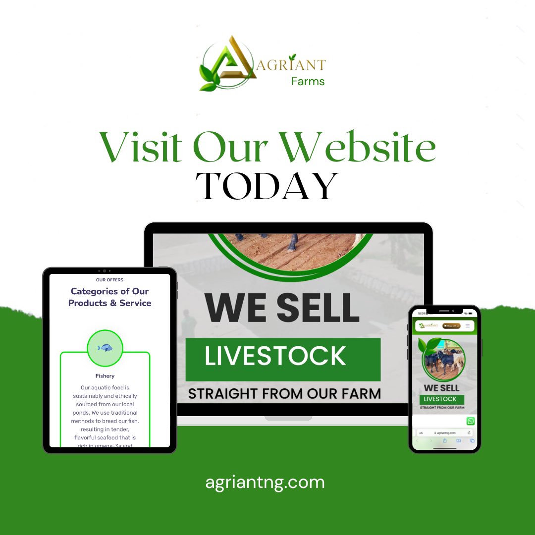 AgriantLimited's tweet photo. From farm to table excellence. Visit @agriantfarms to discover our premium products and services. Fresh, quality produce straight from our farms to you. Learn more about us via our website https://t.co/ITy5r8ouij https://t.co/maeiwGK7Of
