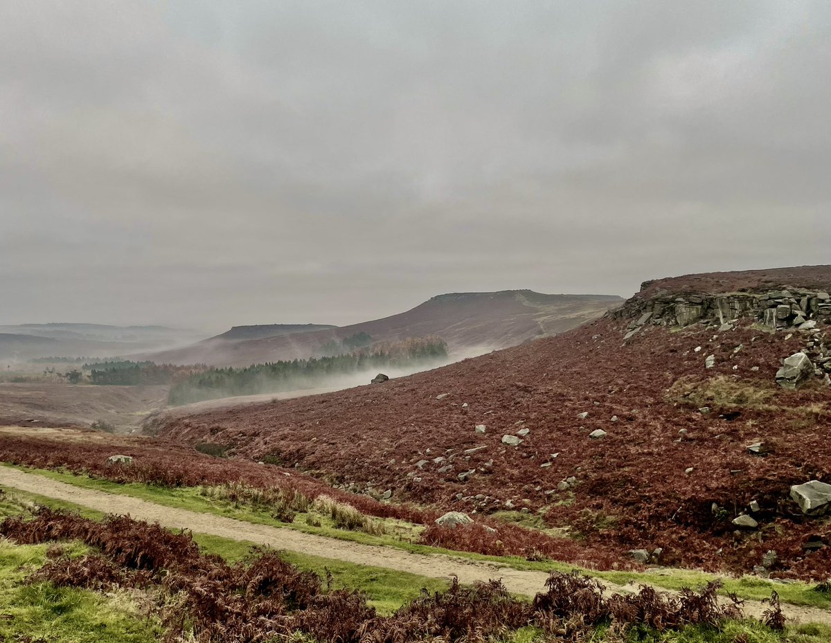 halseyhands tweet media