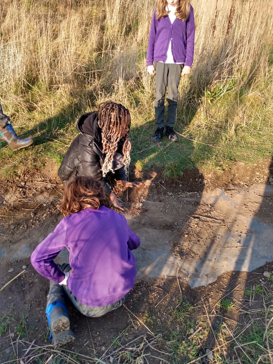 Pupils <a href="/FrogstonPS/">FrogstonPS</a> creating a wildlife hedge reusing trees stakes. great teamwork and communication skills #metaskills <a href="/FrogstonFarm/">Frogston Farm to Fork</a> #environmentalstewardship
#outdoorlearning #nature #learningforsustainability #Sustainability #Outdoorplay <a href="/EdinburghLfS/">EdinburghLfS</a> <a href="/EdOutdoorLearn/">Outdoor Learning Edinburgh</a> <a href="/EdSust/">UoE Sustainability</a>