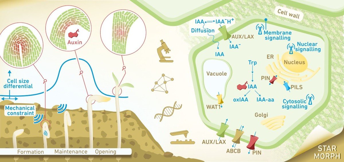 Czech Academy of Sciences tweet media