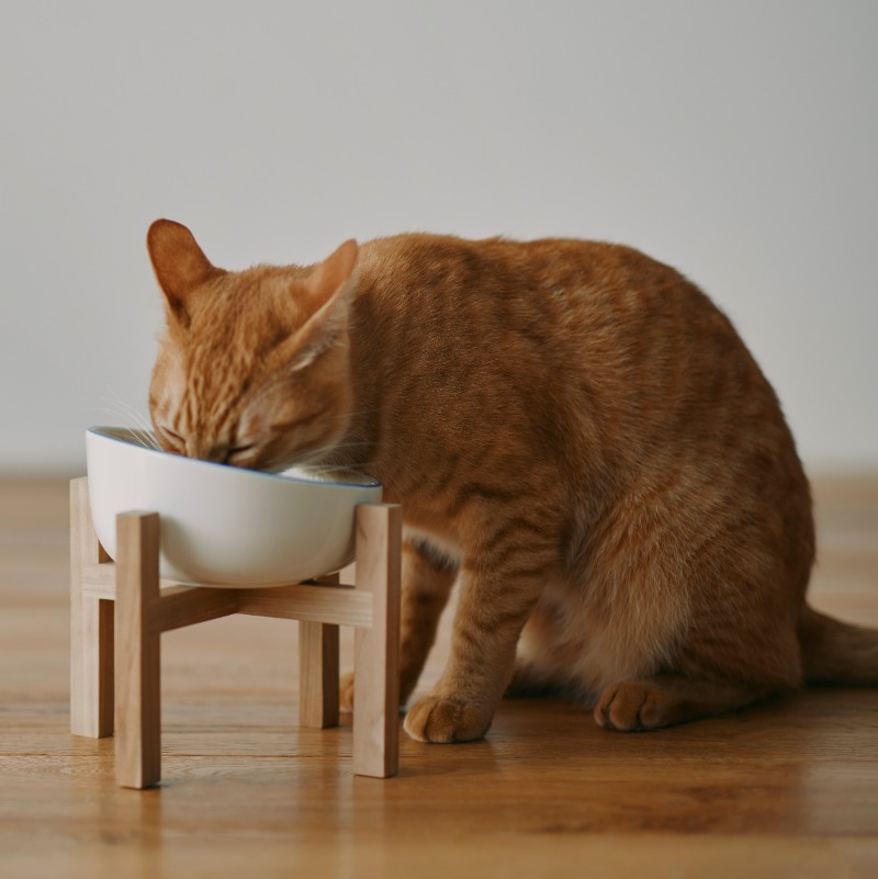 muji_net's tweet photo. #もうすぐ発売 https://t.co/TxetU38Ixn