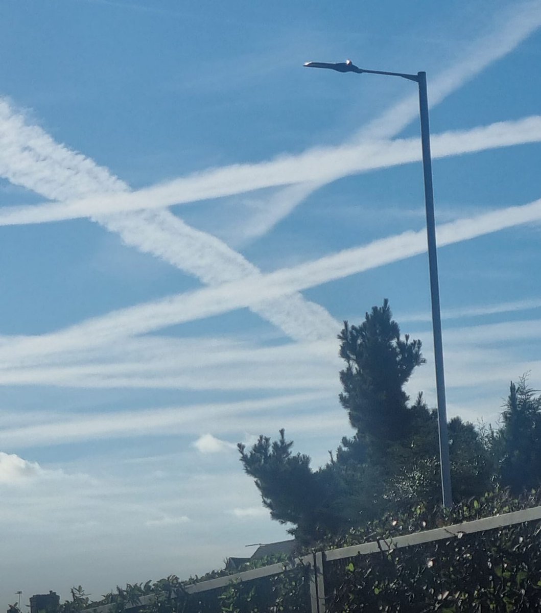 TonyMarrese's tweet image. With video: 
If RFK highlights and stops the geoengineering &amp;amp; Chemtrails then we will all know they are on the side of the world and humanity.
And I will dance naked in the garden with the chickens 
#chemtrails #GeoEngineering #RobertKennedyJr #USAElection2024 #MAHA