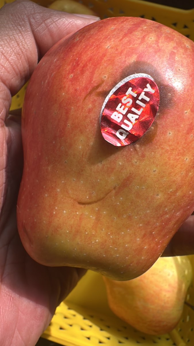 mkl2898's tweet image. @food_haryana 
@cpgurgaon
@pankaj_ag 

Please see the kind of apples sold in Gurgaon. Carefully put a sticker of best quality and underneath sticker one can see the apple is injected with some thing pls see the pics