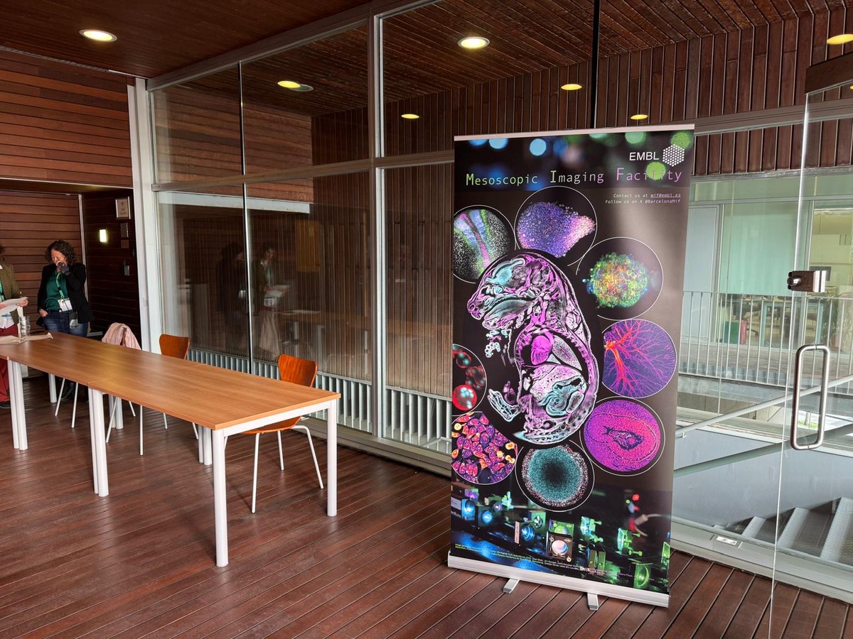 MIF Barcelona (@barcelonamif) on Twitter photo Ready to celebrate #EMBL50 <a href="/embl/">EMBL</a> <a href="/the_prbb/">Biomedicina BCN</a> in Barcelona. Happy to share some of the beautiful images we have acquired at the Mesoscopic Imaging Facility <a href="/BarcelonaMif/">MIF Barcelona</a> <a href="/EMBLBarcelona/">EMBL Barcelona</a>. Do get in touch to know more about us and how we can collaborate. Ready to celebrate #EMBL50 <a href="/embl/">EMBL</a> <a href="/the_prbb/">Biomedicina BCN</a> in Barcelona. Happy to share some of the beautiful images we have acquired at the Mesoscopic Imaging Facility <a href="/BarcelonaMif/">MIF Barcelona</a> <a href="/EMBLBarcelona/">EMBL Barcelona</a>. Do get in touch to know more about us and how we can collaborate.