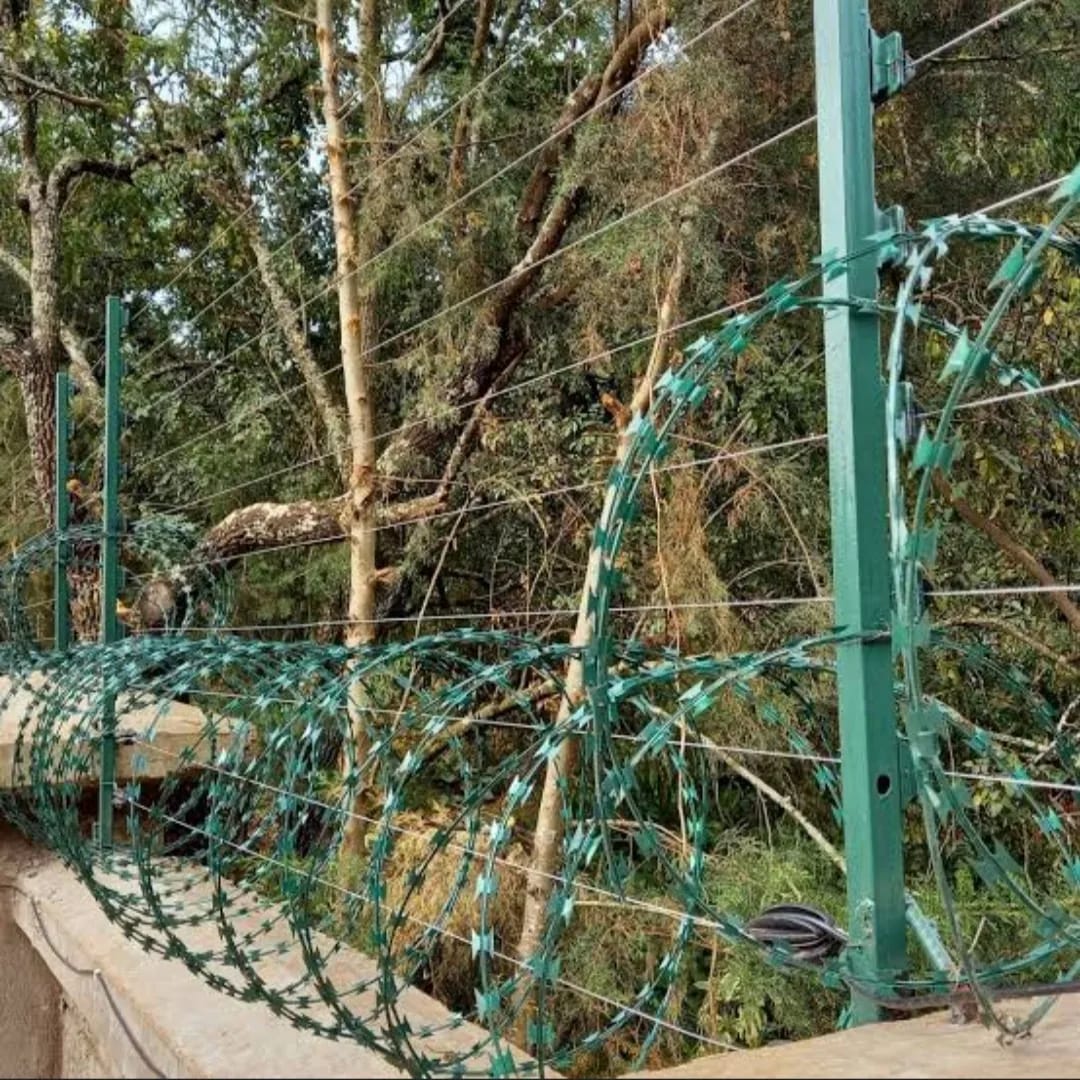 CLS_KE's tweet photo. Have your peace of mind, knowing your home  is secure. Get these razor wire and Electric fence installed. Get a quote today. https://t.co/mZR9Ot87y8