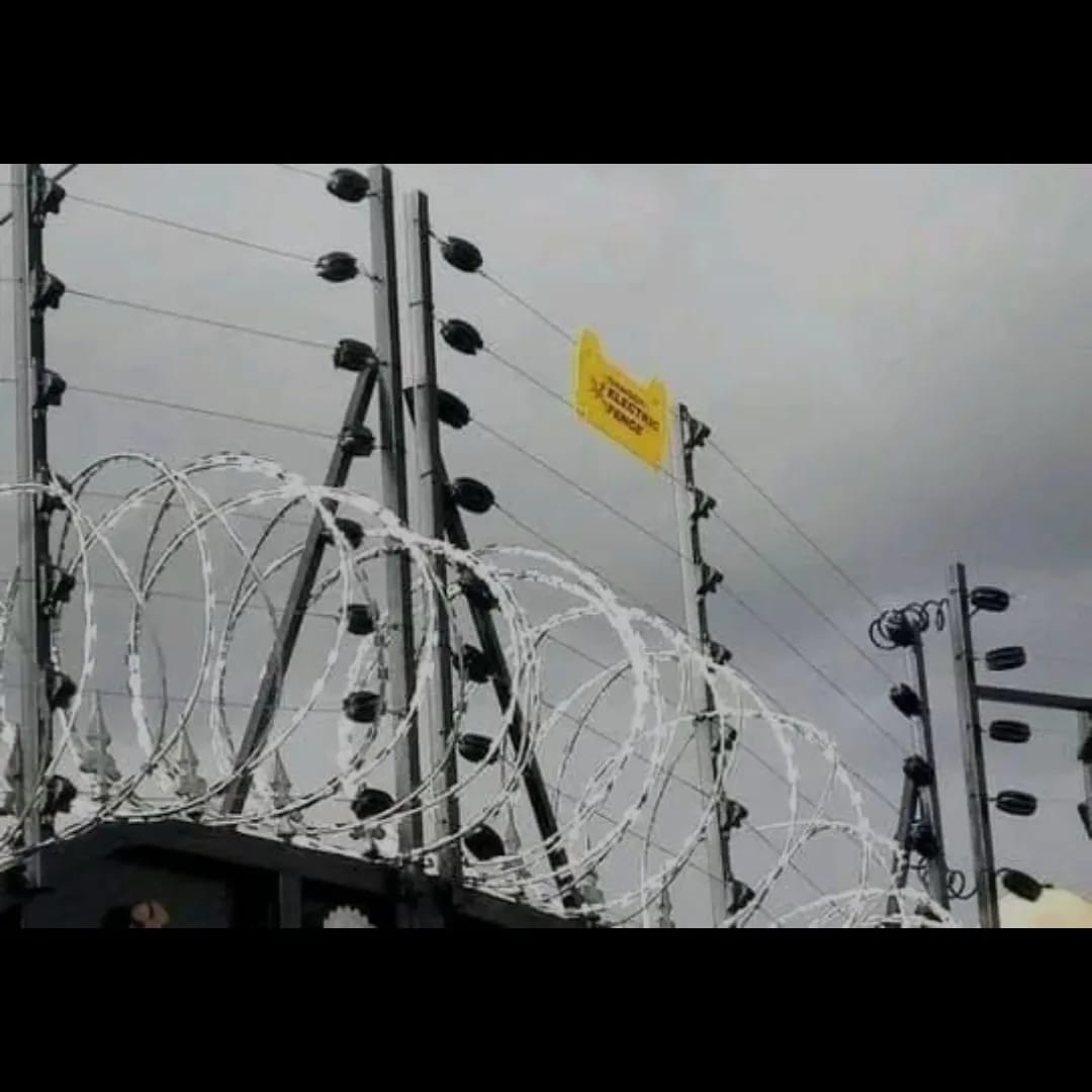 CLS_KE's tweet photo. Have your peace of mind, knowing your home  is secure. Get these razor wire and Electric fence installed. Get a quote today. https://t.co/mZR9Ot87y8