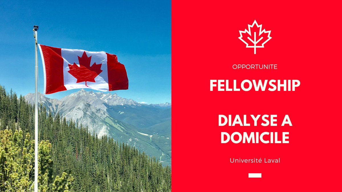 SFNDT (@com_sfndt) on Twitter photo OPPORTUNITE FELLOWSHIP "Dialyse à Domicile" à l'Université de Laval
Les candidatures sont ouvertes !
Dépêchez-vous pour en savoir + : bit.ly/4hB2Yac OPPORTUNITE FELLOWSHIP "Dialyse à Domicile" à l'Université de Laval
Les candidatures sont ouvertes !
Dépêchez-vous pour en savoir + : bit.ly/4hB2Yac