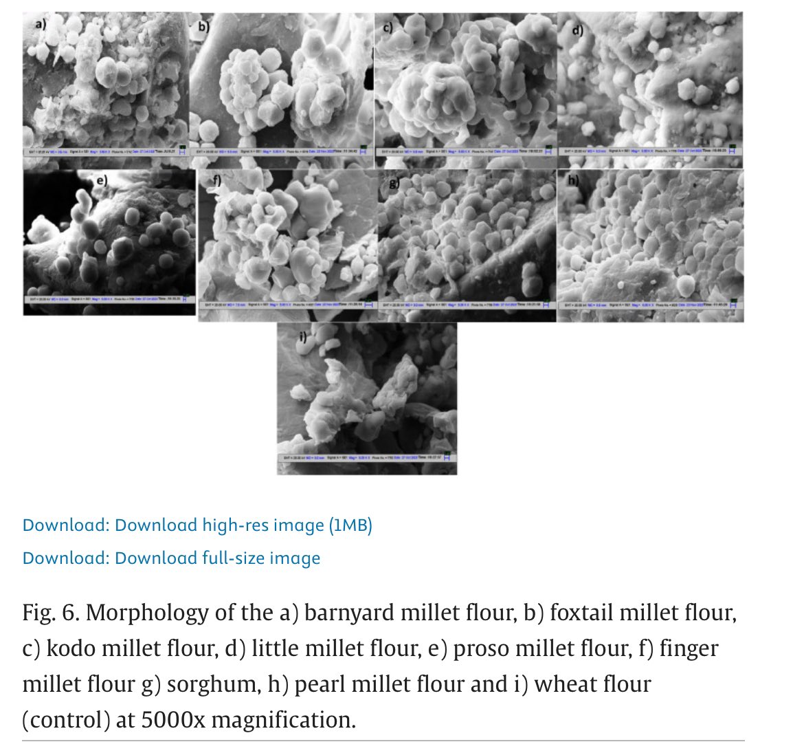 DashoraKavya's tweet photo. Very happy to share our recently #published article on ‘Comparative study of physico-chemical composition, functional, morphological and pasting properties of major and minor #millet flours as a #glutenfree alternative to #wheat flour’. https://t.co/oKDtVrIaJY