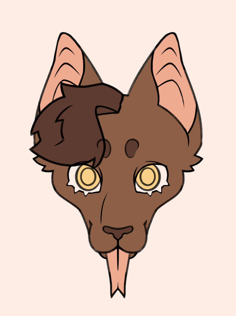 BattyHours tweet media