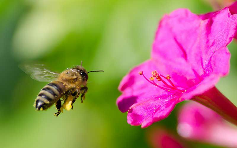 'José #Saramago en sus palabras'

"El único milagro que podemos hacer será seguir viviendo, defender la fragilidad de la vida día a día".

#JusticiaClimática