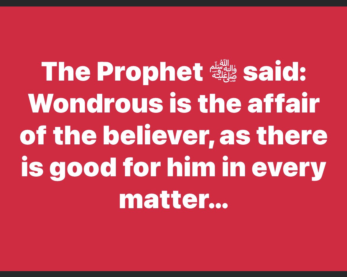 Tarek El-Messidi (@elmessidi) on Twitter photo 