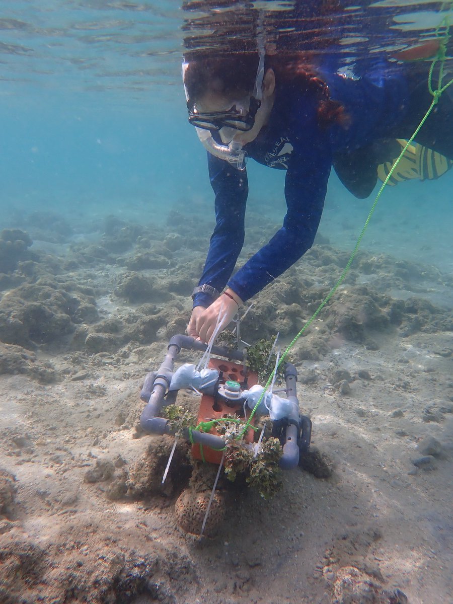 Global Change Ecology Lab tweet media