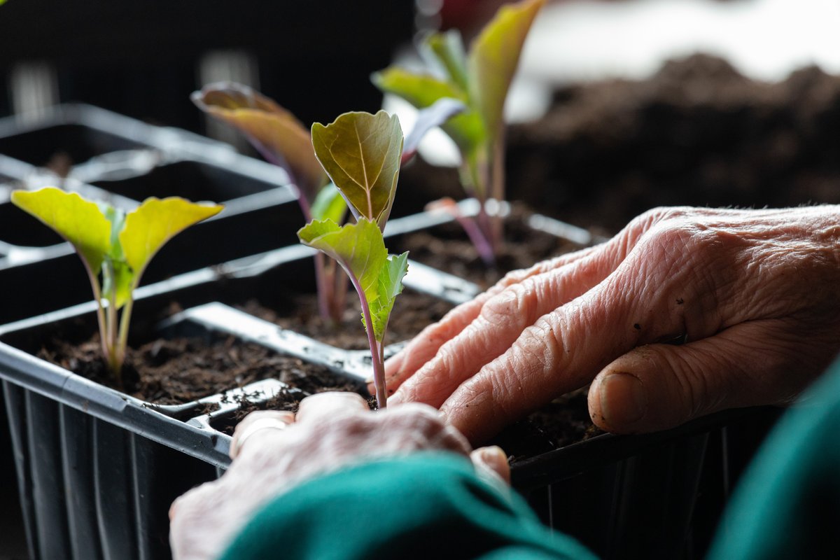 gardenorganicuk's tweet photo. Today is the first reading of @SarahDykeLD's 10-minute rule bill to #EndPeatSales. 🙌 There’s no time to waste - let’s get this done @DefraGovUK.
#PeatFree #horticulture #peat #OrganicGardening #gardening #ForPeatsSake @PFpartnership https://t.co/bWMJiQilTv