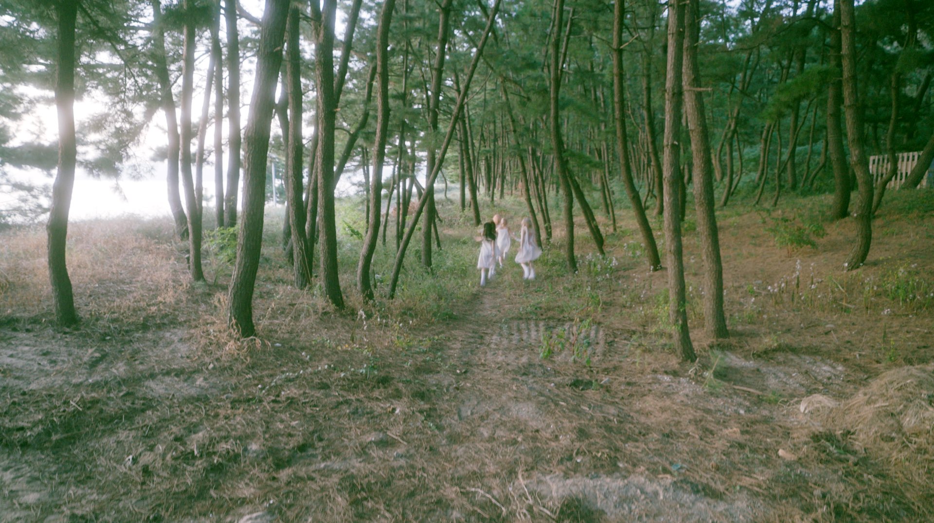 GbsJsDPaAAAIroX?format=jpg&name=large