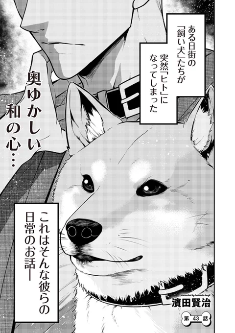 犬がヒトになる話<柴犬編> 