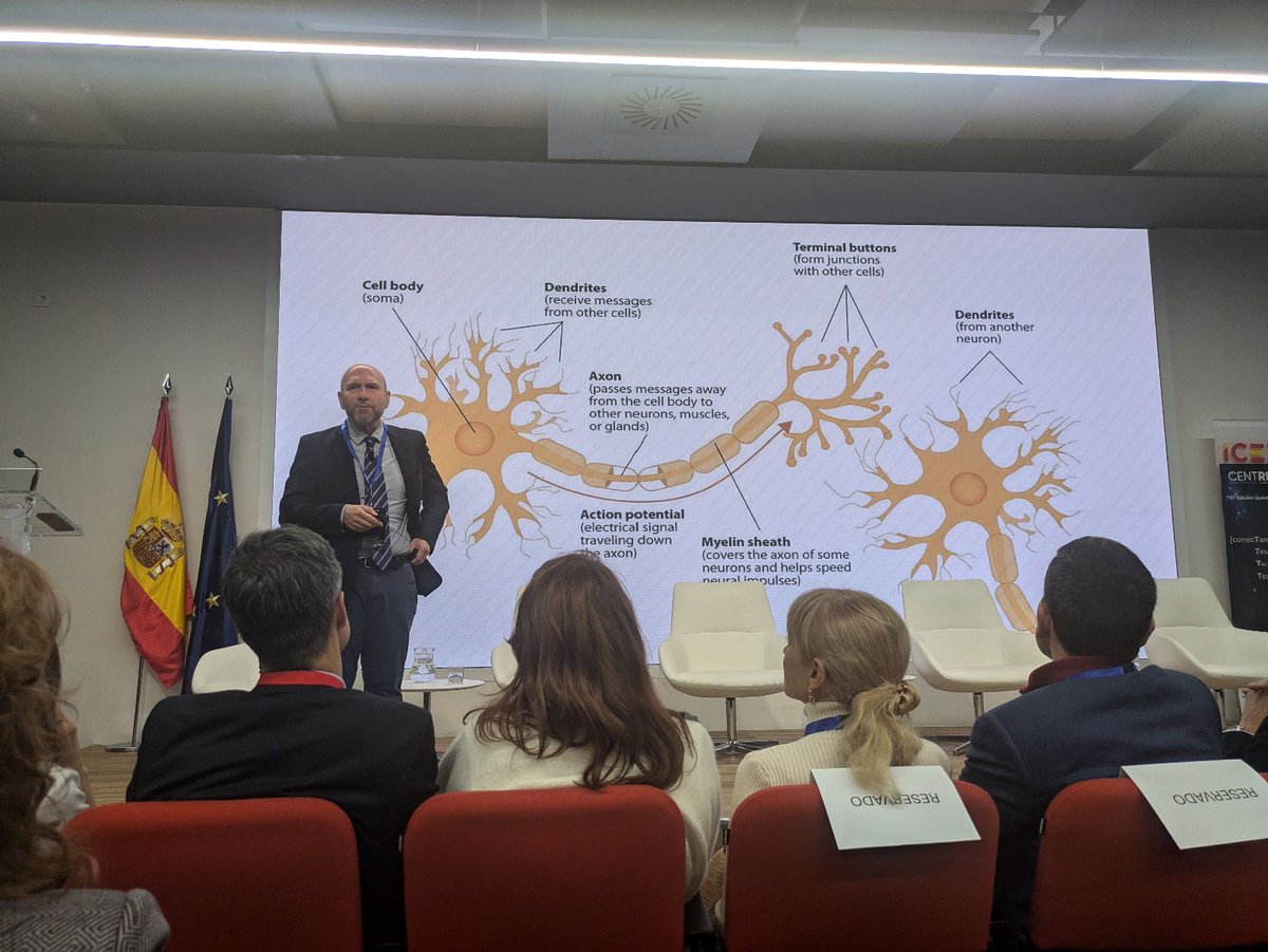 sngular's tweet photo. 🚀Estamos en #UPDATE10, @asociacionrh, el gran evento de #RRHH
En directo con @oscarvara, hablando sobre el impacto de la #IA en el ámbito #socioeconómico.
@juliandecabo moderará la mesa redonda sobre la construcción de áreas de gestión de personas de empresas en crecimiento.🙌 https://t.co/wNhgKjrWvj