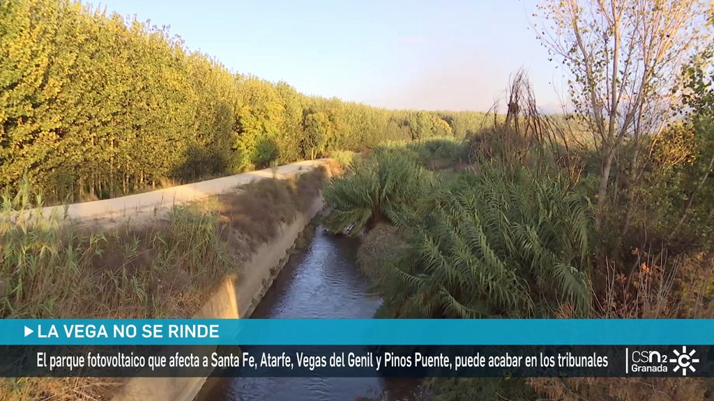 Ecologistas y agricultores rechazan el megaproyecto fotovoltaico en La Vega (Granada)

🌐 csur.red/Bxjr50U14Iv