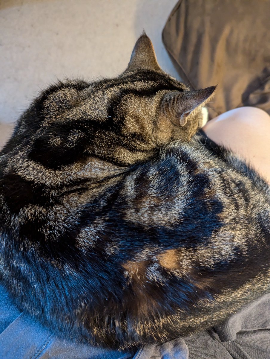 Angela Dickson is on Bluesky tweet media