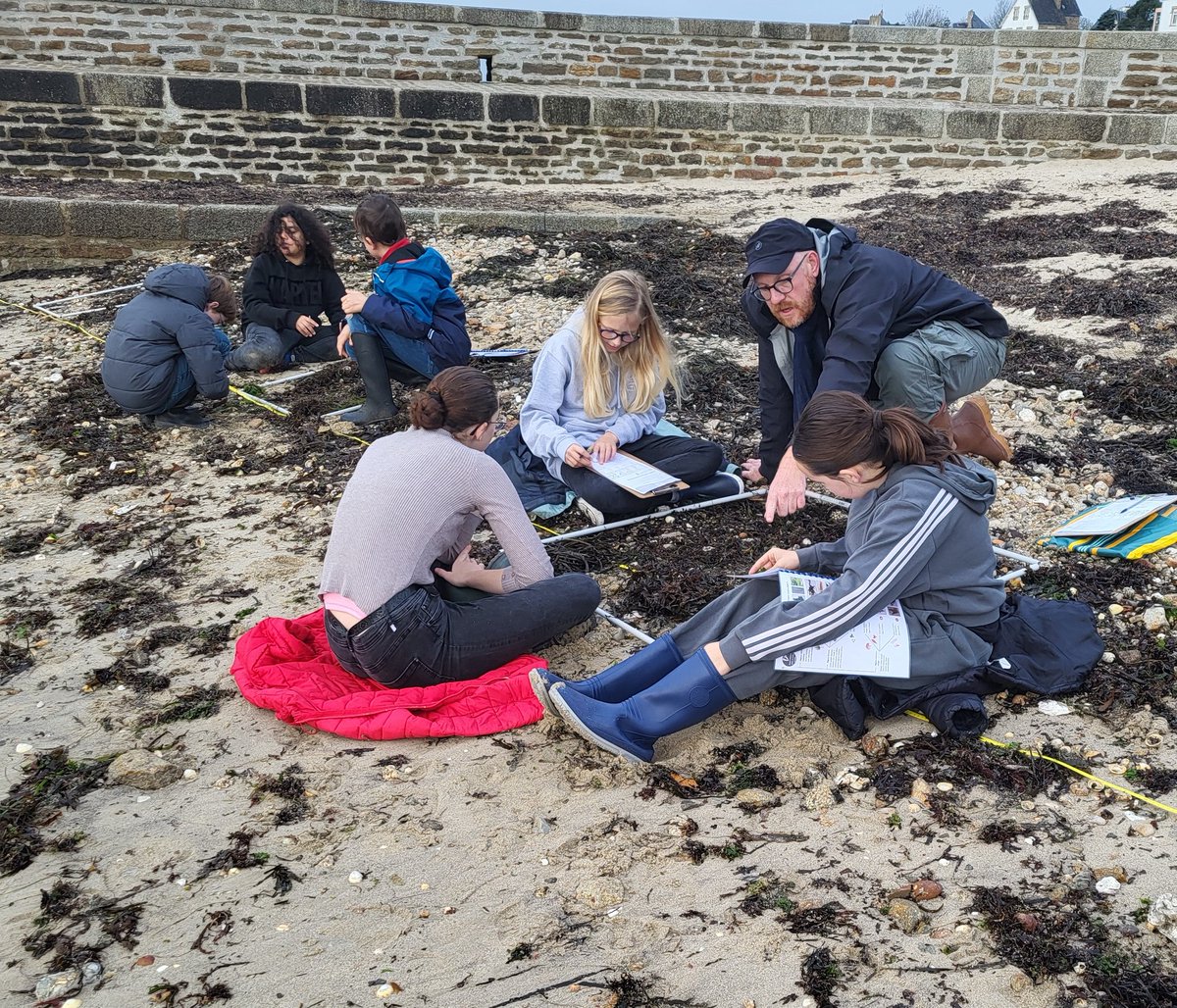 penanroz's tweet photo. Sortie Nature pour les 6èmes du collège @Penanroz . Étude de la laisse de mer à #Concarneau  avec  Vigie Nature  du #MNHN et le Marinarium. https://t.co/a3SS9a0Sn3