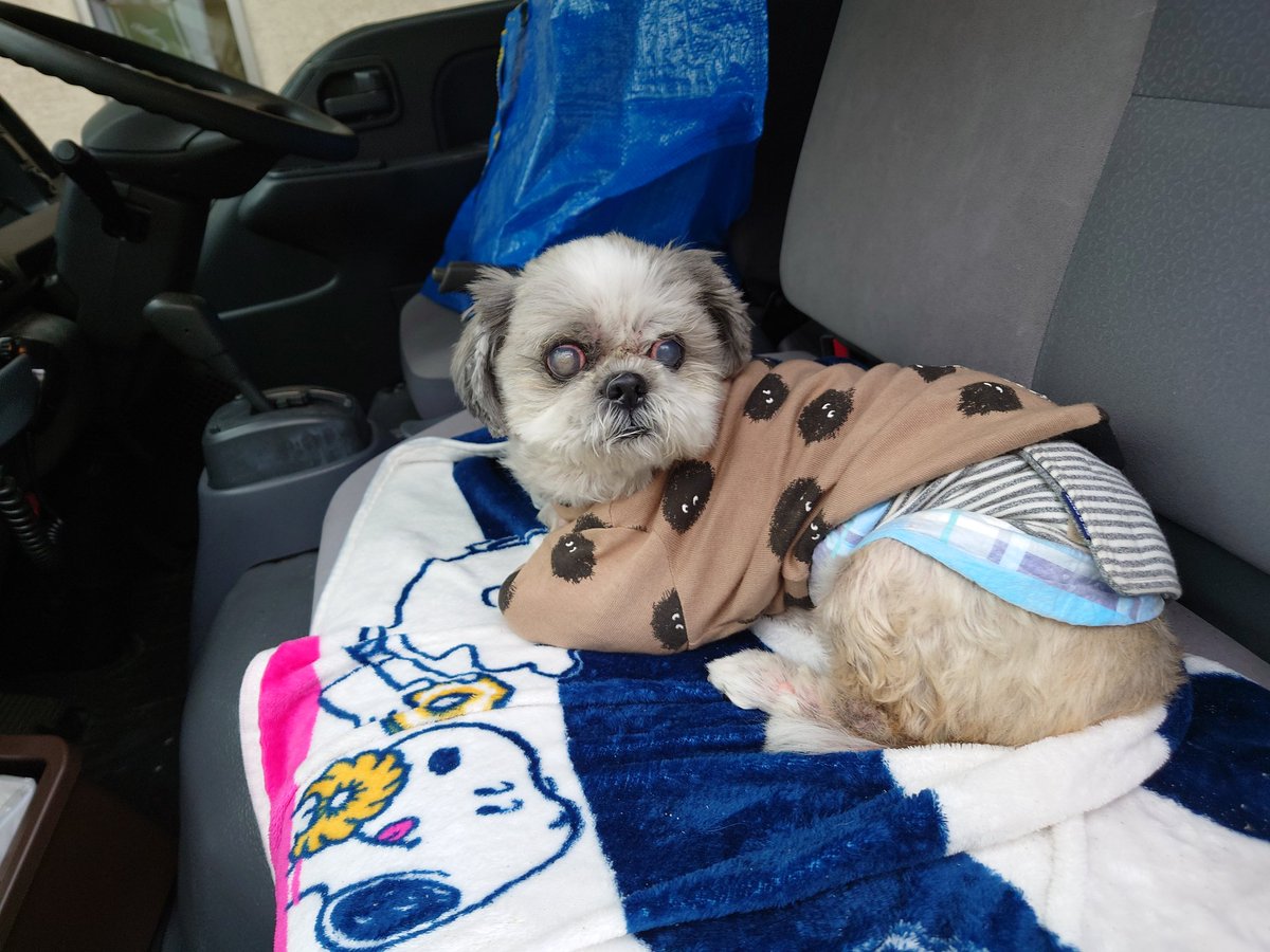 299cafecar's tweet photo. 本日11/6（水）は中川動物病院で出店してます！20:00まで！ https://t.co/5ZjpaWo8Ga