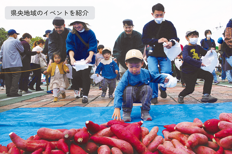kouhou_mito's tweet photo. 【となりのまちから～県央地域のイベント情報】
東海村 第28回東海I～MOのまつり

東海村の特産品である「サツマイモ」をテーマにした、県内唯一の「サツマイモ」のお祭りです🍠

▼開催日／11月23日（土・祝）10時～15時
▼場所／阿漕ヶ浦公園

https://t.co/s9AYYgGmCV https://t.co/zxOZn42l9n