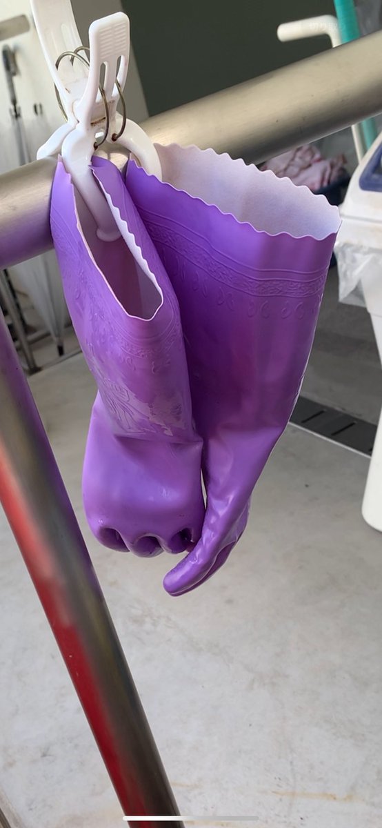 私立 聖嗜好女学院 2nd tweet media