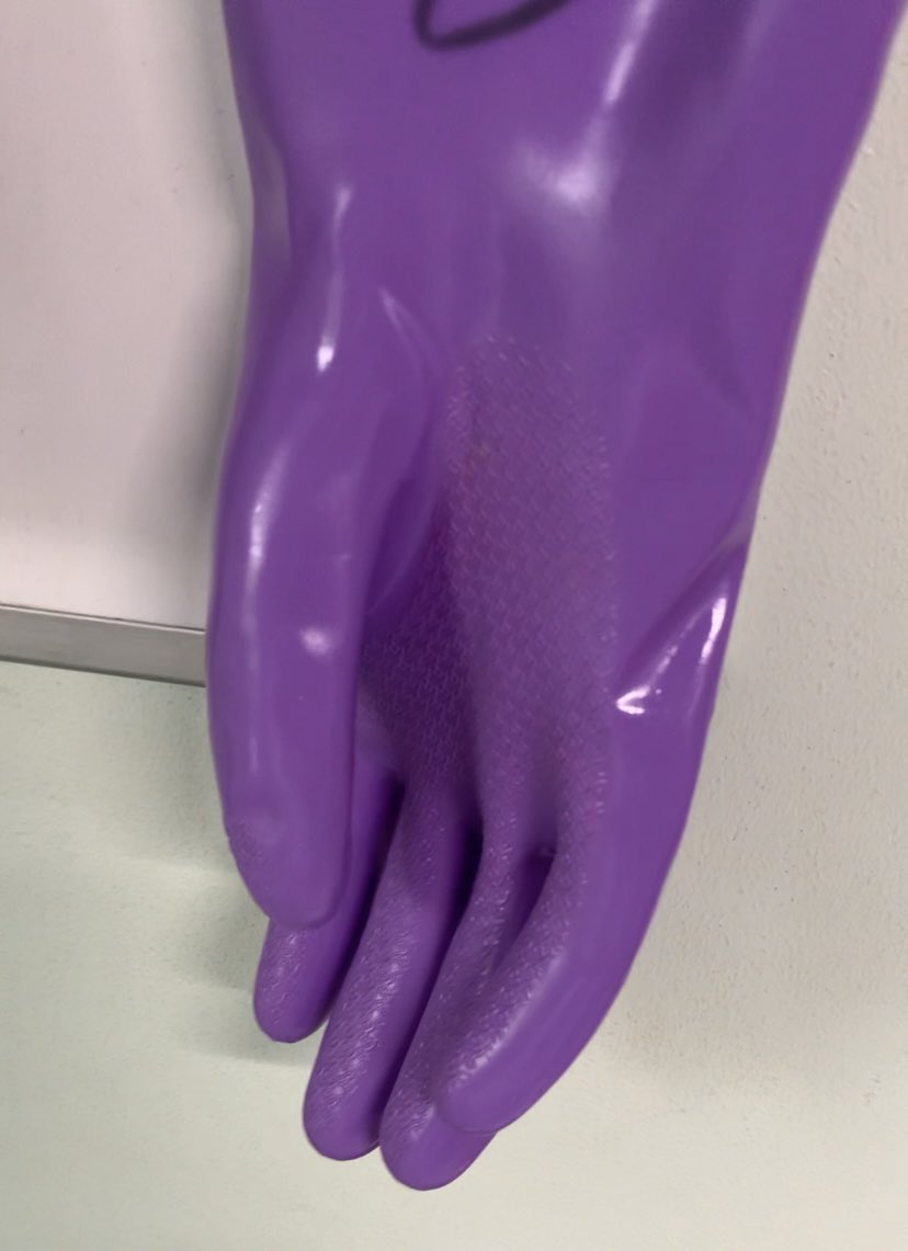 私立 聖嗜好女学院 2nd tweet media