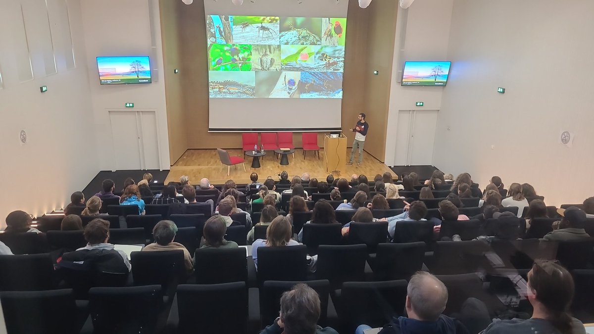 Cedric Zimmer (@cedzimmer) on Twitter photo Second talk of the day by Javier Sierro on vocal performance in bird song. <a href="/LEEC_USPN/">Ethology LEEC Paris</a> <a href="/LecdNanterre/">LECD Nanterre</a> Second talk of the day by Javier Sierro on vocal performance in bird song. <a href="/LEEC_USPN/">Ethology LEEC Paris</a> <a href="/LecdNanterre/">LECD Nanterre</a>