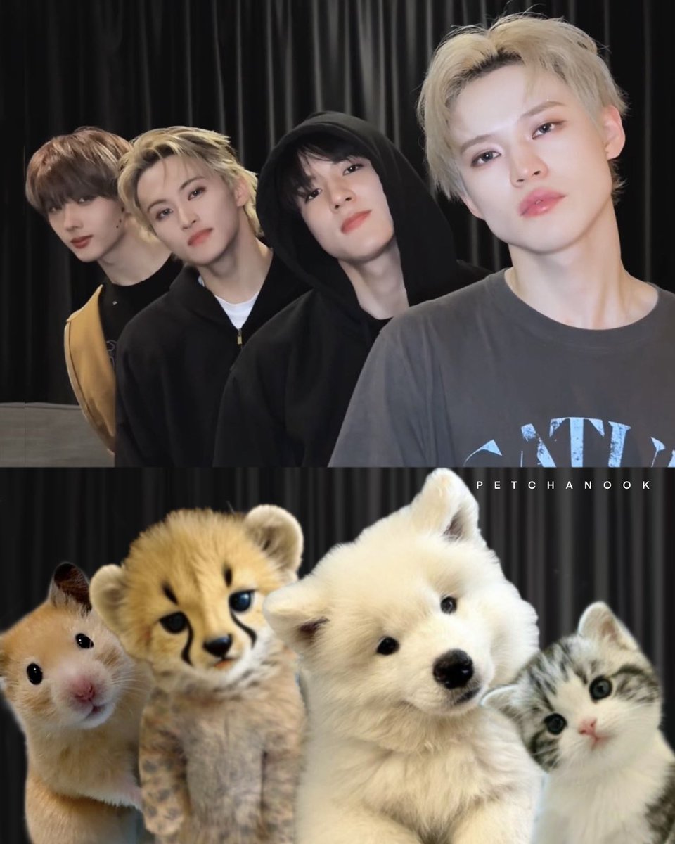 petchanook's tweet photo. APT🤘🏻⚡️🎸💖

🫳🏻   🫳🏻    🫳🏻   🫳🏻 https://t.co/SnZesspv63