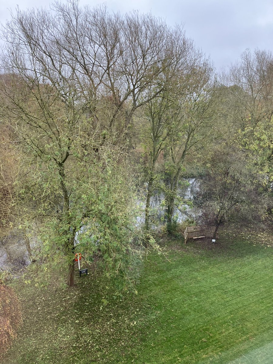 Borrowing some workspace today from the lovely folks at University of Lincoln. Beautiful surroundings too! <a href="/unilincoln/">University of Lincoln, UK</a>