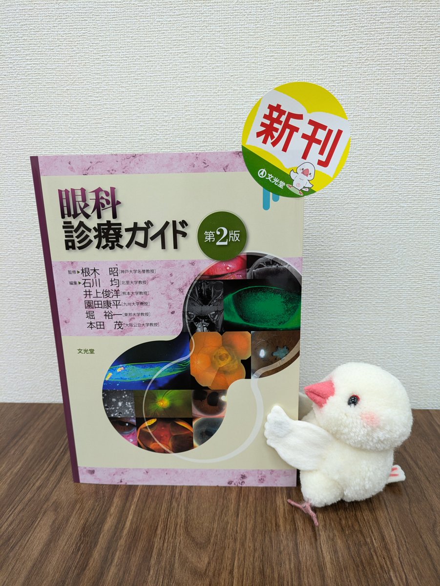 📢＜眼科診療ガイド 第2版＞が発売です🎉長年診療現場を支えた眼科診療