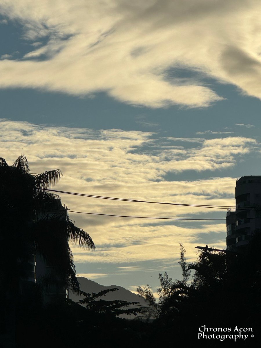 ChronosAeonBR's tweet photo. Going to work…
#bluesky
#nature
#JoaoDeBarro #FurnariusRufus
#photography https://t.co/CDcIQTkTNR