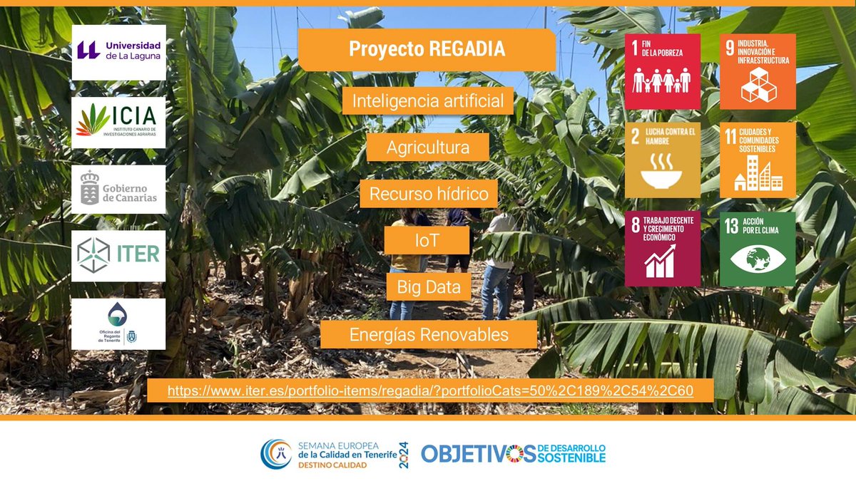 CalidadTenerife's tweet photo. #PanelODS Proyecto REGADIA
🟥🟧🟨🟦🟩🟫 #ODS: 1, 2, 8, 9, 11, 13
➡️ @ULL, @Icia_GobCan, @ITERtenerife
#SEC2024 https://t.co/3qIN3kvOa7