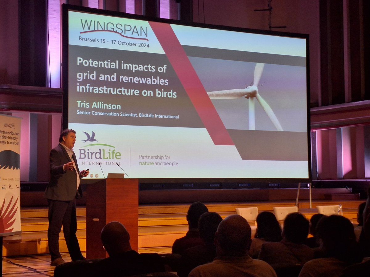 SafeLines4Birds (@safelines4birds) on Twitter photo 🌍Nature & energy must work together!🌳⚡️
At #Wingspan2024,<a href="/TrisAllinson/">Tris Allinson</a> urged a balanced approach to energy deployment while protecting birds by using the mitigation hierarchy—Avoid, Minimise, Restore, Offset, Improve🌱💡
Speech👉bit.ly/Wingspan2024-i…
©Weyrichfoto 🌍Nature & energy must work together!🌳⚡️
At #Wingspan2024,<a href="/TrisAllinson/">Tris Allinson</a> urged a balanced approach to energy deployment while protecting birds by using the mitigation hierarchy—Avoid, Minimise, Restore, Offset, Improve🌱💡
Speech👉bit.ly/Wingspan2024-i…
©Weyrichfoto
