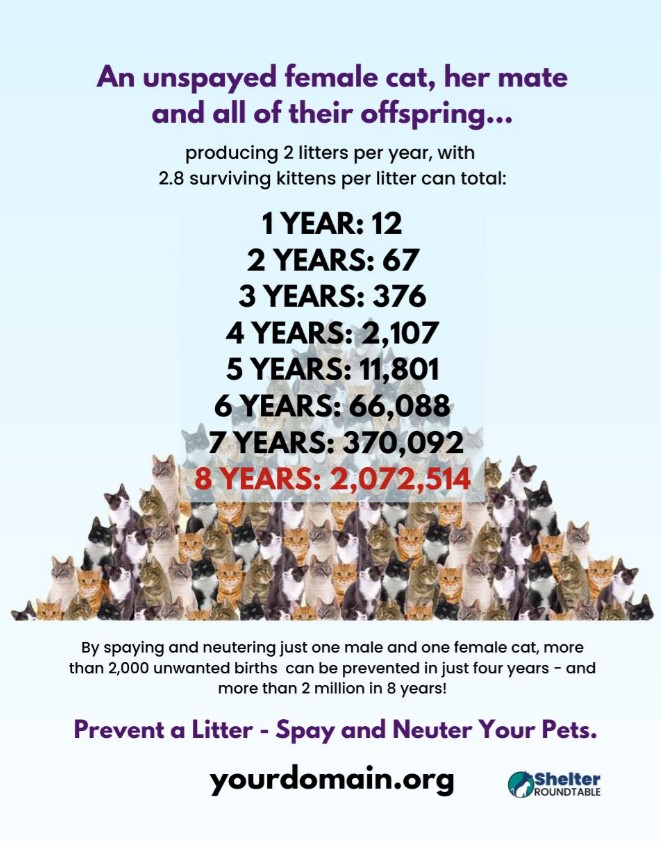 WAFCWG's tweet photo. Yesterday @CatHavenWA took in 31 cats from one owner in a single day! #desex your #petcats please - for so many reasons... Is it any wonder we have 6 million cats in Australia? @RSPCA https://t.co/0MX008TIYx