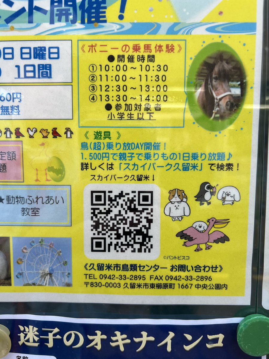 久留米市鳥類センター70周年イベントが
11/10(日)開催されます。お近くの方はぜひ。
(画像の中の月が間違えてます、すみません。) 