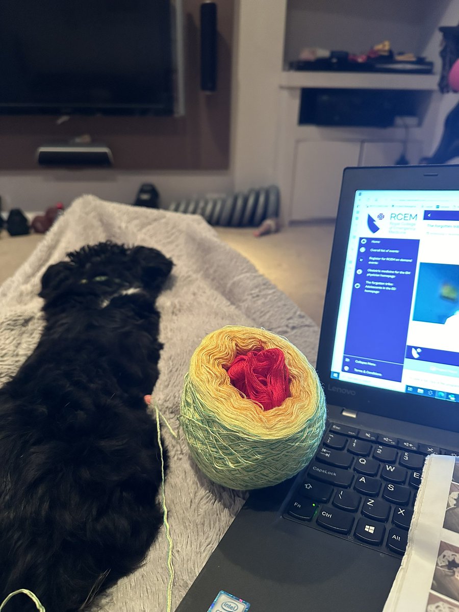 Ignoring the world and focusing on my study day ‘Adolescents in the ED’ <a href="/RCEMevents/">RCEM Events</a>