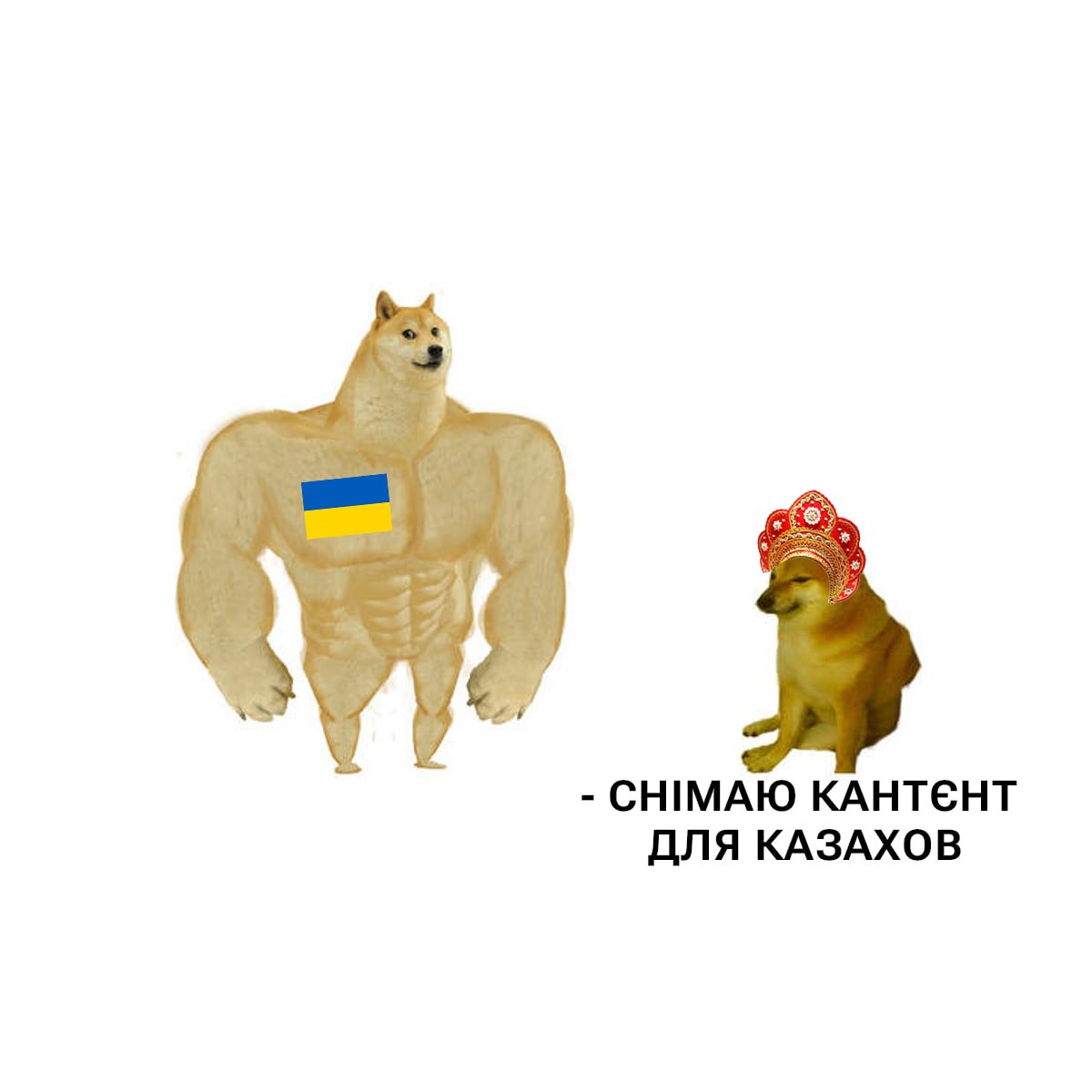 Маніфест Лайв tweet media