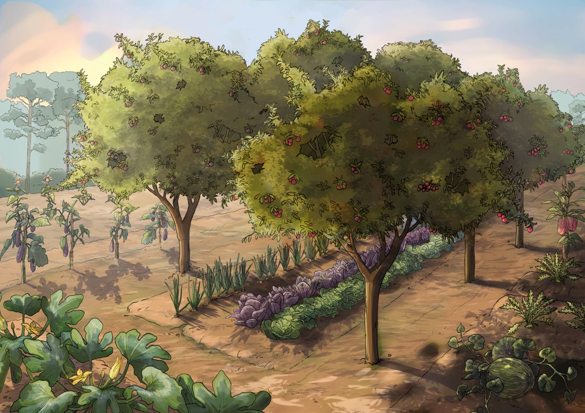 TRANSITION-Med tweet media