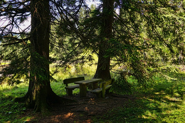 stayingwellmpft's tweet photo. Stress Awareness Week - feeling stressed? Try going for a walk in a park, forest or along the canal. Green spaces can lower stress levels, help with anxiety and low mood. So even if you can only spare 5 minutes a quick walk in your local park.
#stressawarenessweek #mpftnhs https://t.co/jZuLbBUjcx