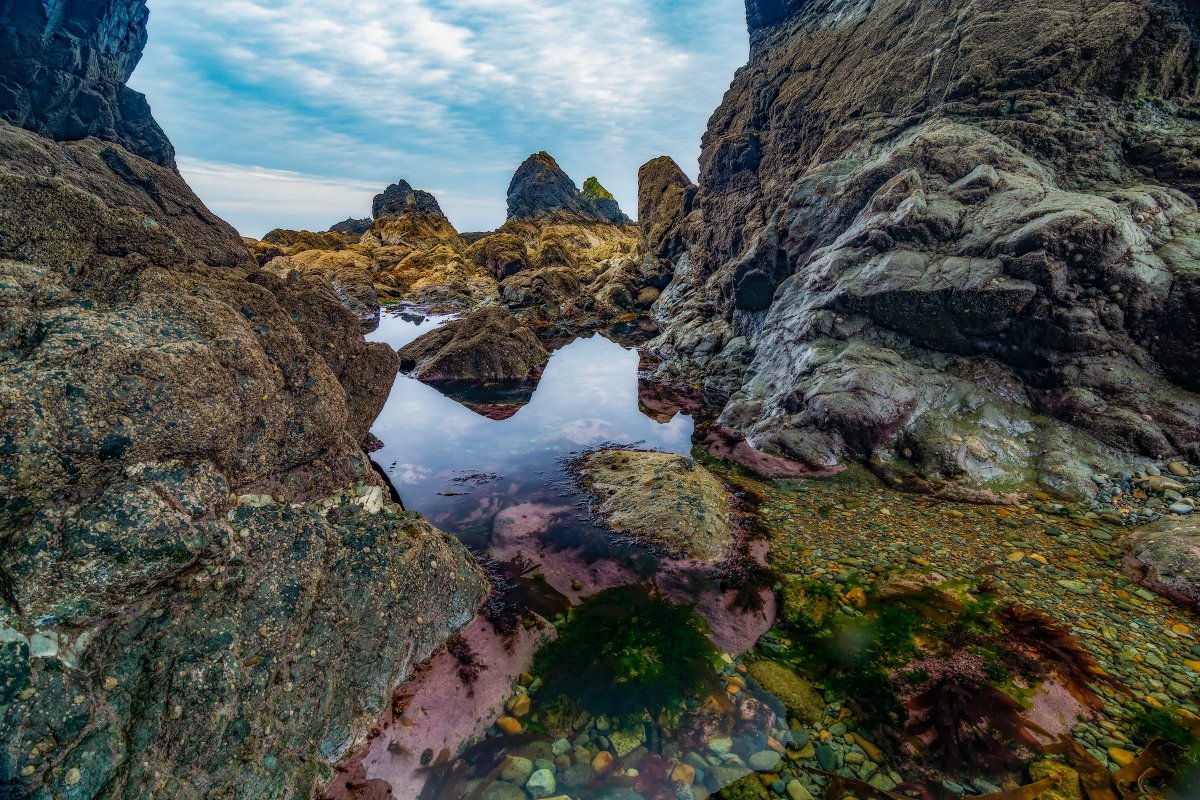 November’s #imageofthemonth is Garrarus Beach, Tramore, Co Waterford. (Trá Gharbhrois, Trá Mhór, Co Phort Láirge. 🔵⚪️

These rocks are felsic volcanics of the Ordovician (485 – 444 million years ago) and belong to the Campile Formation.

Photo by Peter Bijsterveld.