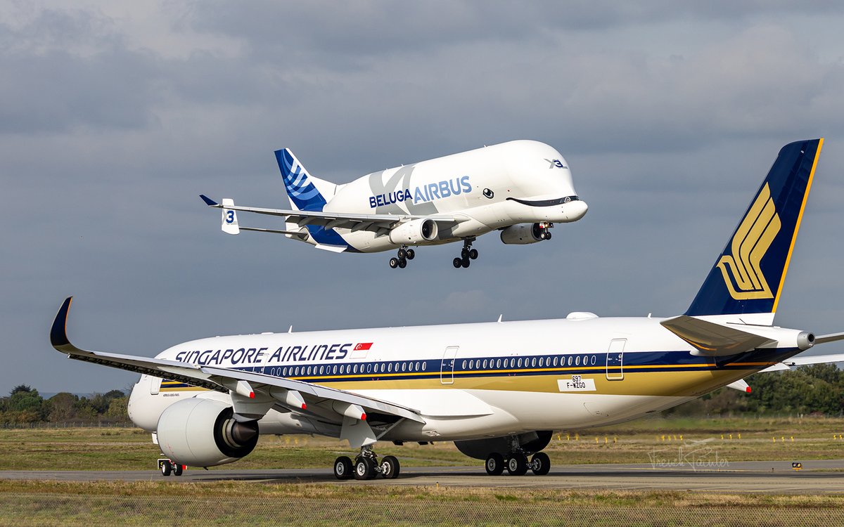 Frenchpainter's tweet photo. Beluga XL + Brand new A350 = 😍 https://t.co/2y9JDqOsZe