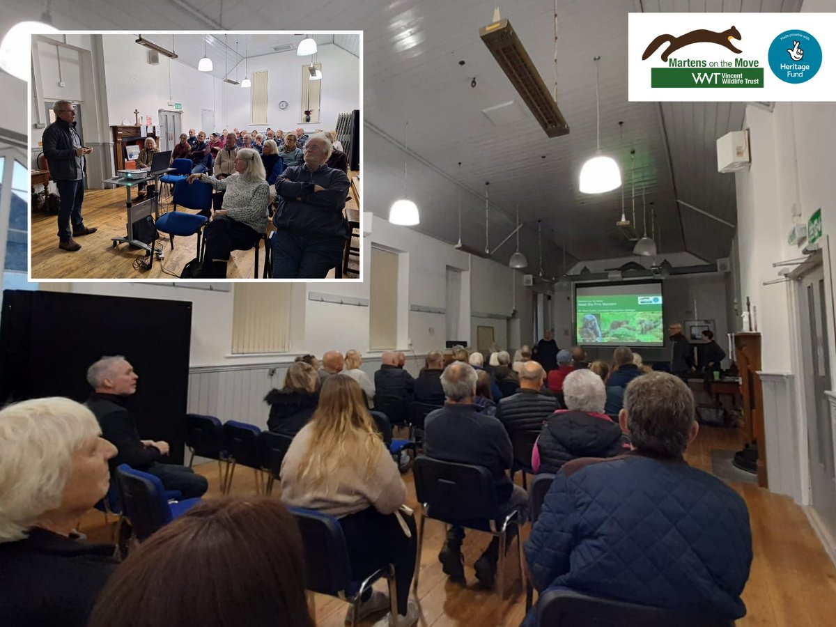 vincentwildlife's tweet image. We had a fantastic time at our Pine Martens in #Brechfa Forest talk earlier this month. There was a great turn out from the local community and many signed up for more info. We are hosting more events like these in the future — keep an eye out for one near you. @HeritageFundUK