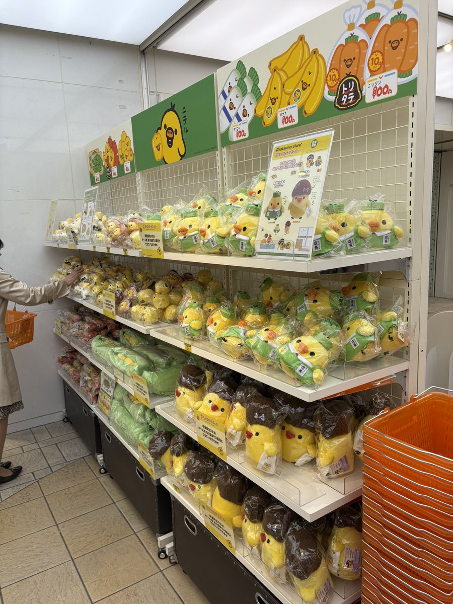 キイロイトリスーパー