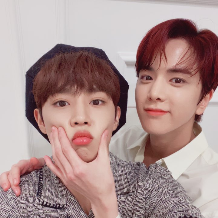 차카니 403개 먹은 갱얼쥐