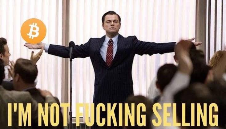 Lord of Crypto tweet media